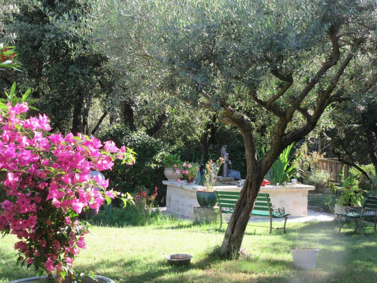 Domaine Du Bois Gite Bleuette Galargues ภายนอก รูปภาพ
