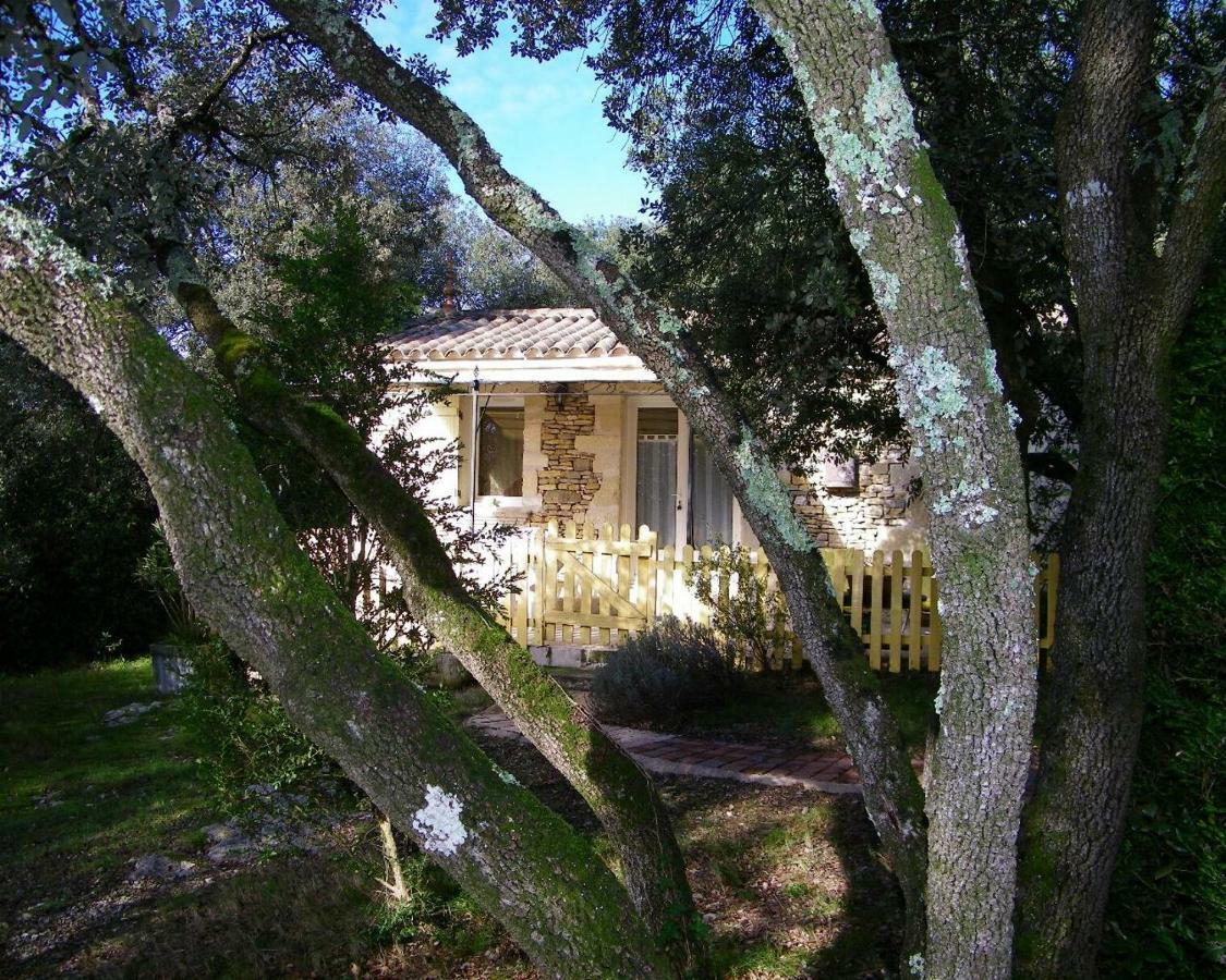 Domaine Du Bois Gite Bleuette Galargues ภายนอก รูปภาพ