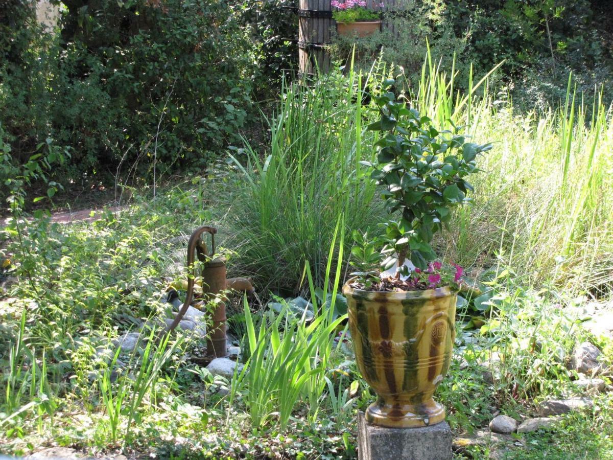 Domaine Du Bois Gite Bleuette Galargues ภายนอก รูปภาพ
