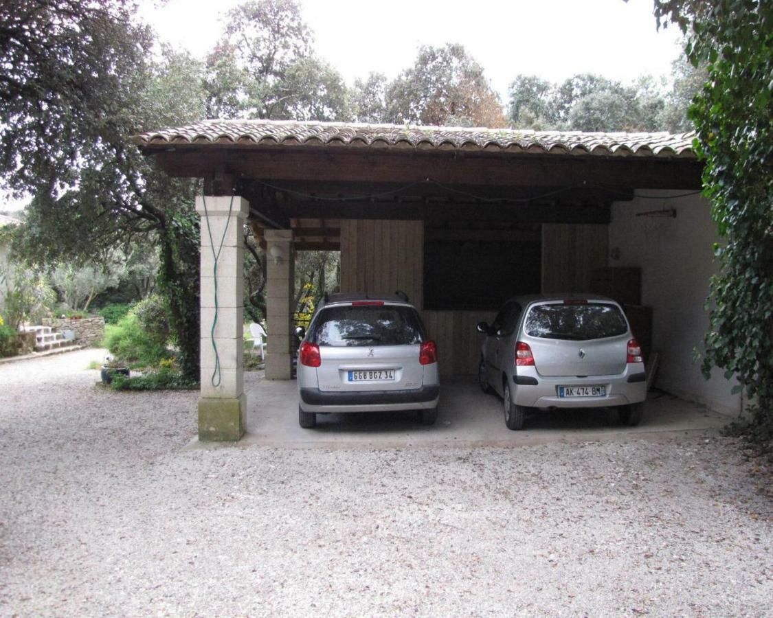 Domaine Du Bois Gite Bleuette Galargues ภายนอก รูปภาพ